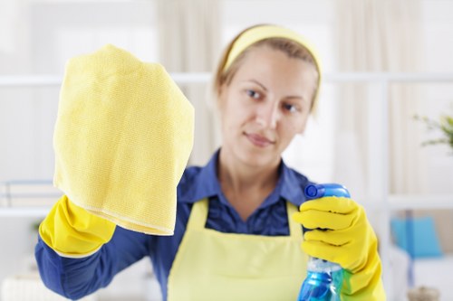Carpet cleaning team using sustainable equipment in Preston