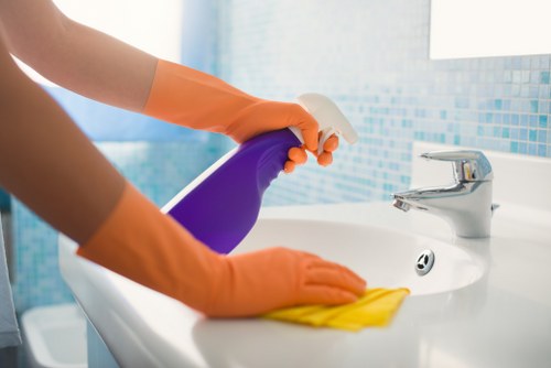 Removing stubborn pet smells from carpets and flooring
