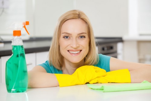 Safety inspection and risk assessment before carpet cleaning begins